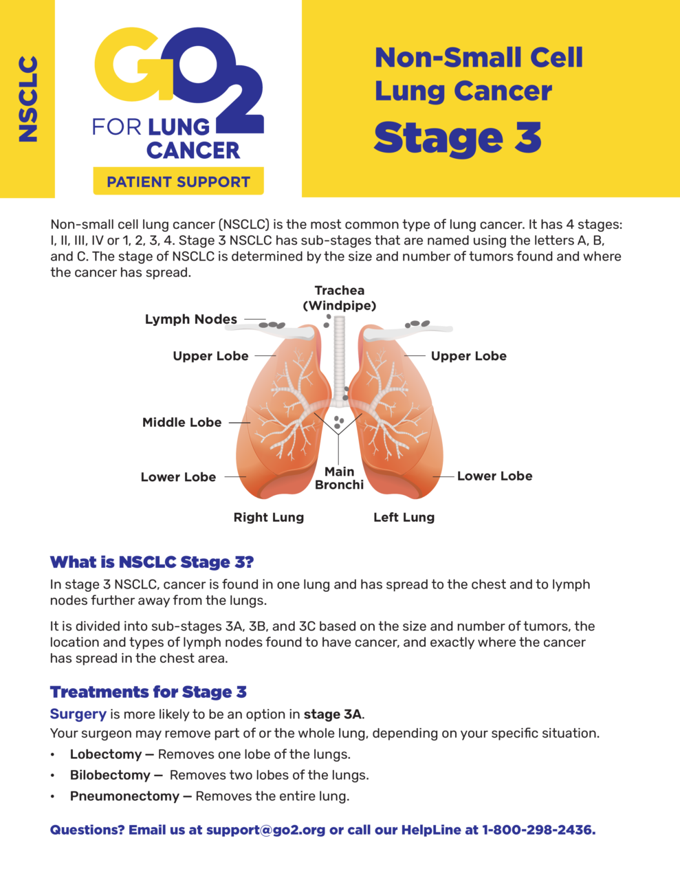 GO2 Stage 3 NonSmall Cell Lung Cancer