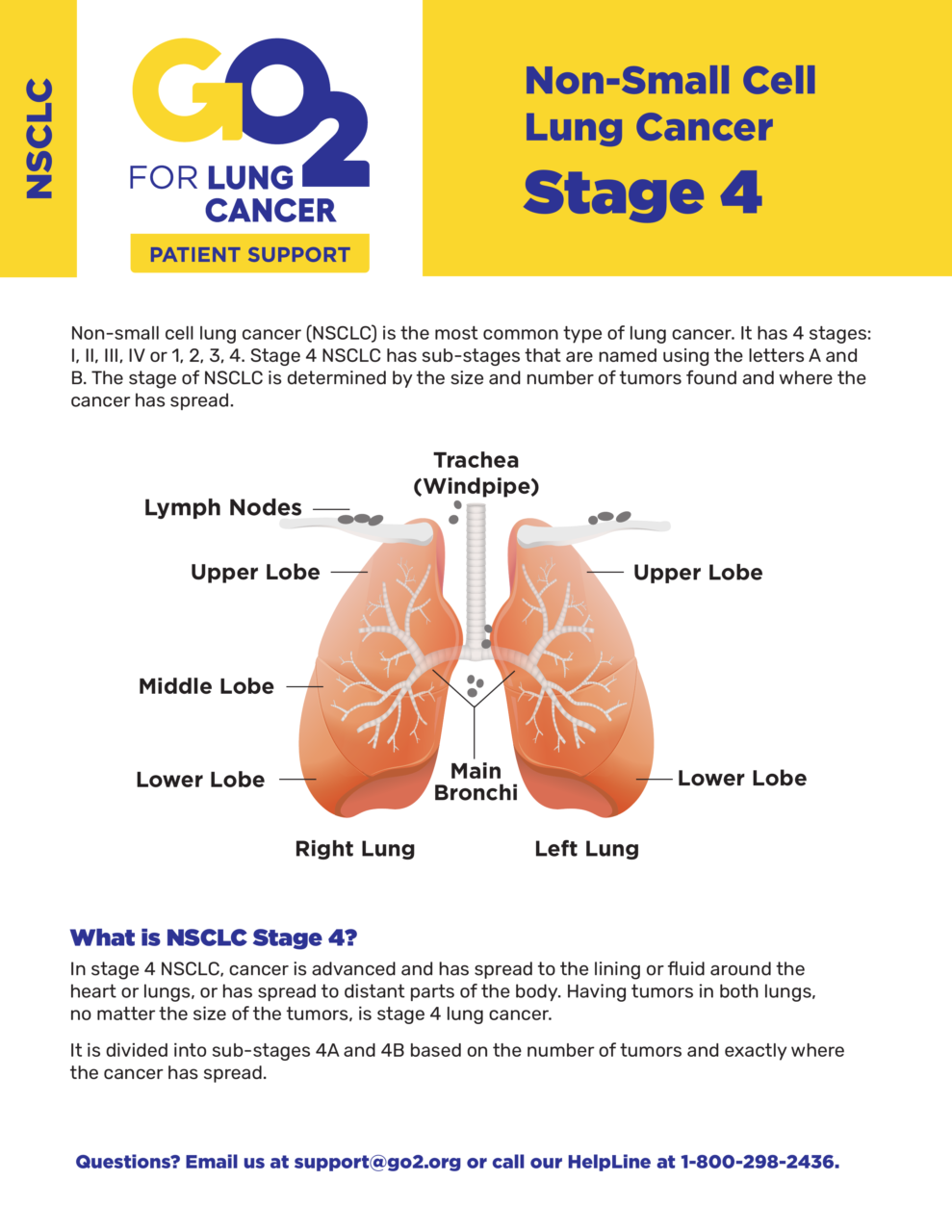 GO2 Stage 4 NonSmall Cell Lung Cancer