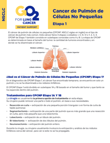 GO2-Cancer-de-Pulmon-de-Celulas-No-Pequenas-Etapa-1