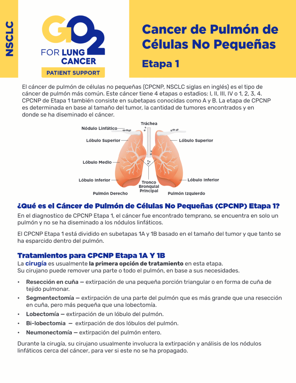 GO2-Cancer-de-Pulmon-de-Celulas-No-Pequenas-Etapa-1
