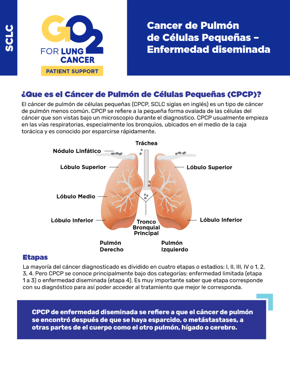 GO2-Cancer-de-Pulmon-de-Celulas-Pequenas-Enfermedad-diseminada