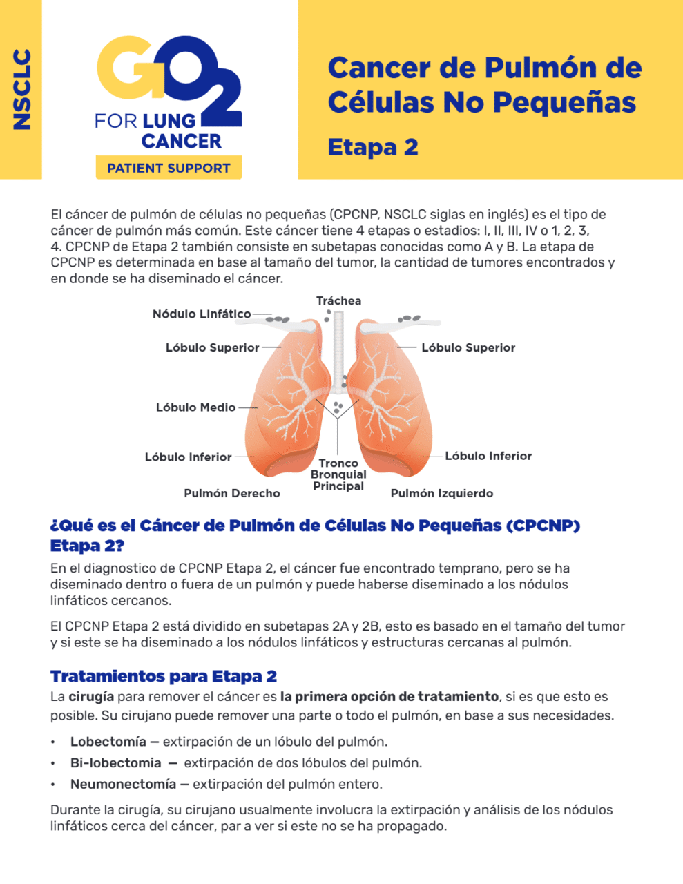 GO2-Epata-2-Cancer-de-Pulmon-de-Celulas-No-Pequenas