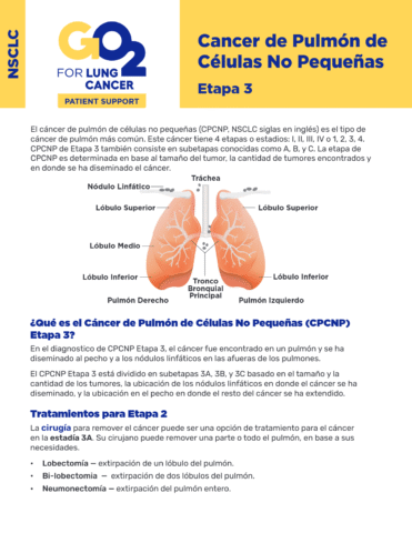 GO2-Epata-3-Cancer-de-Pulmon-de-Celulas-No-Pequenas