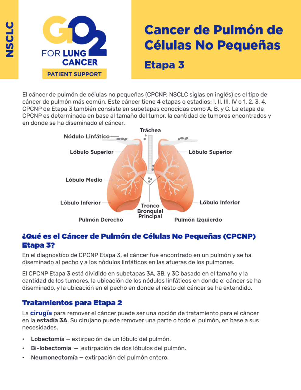GO2-Epata-3-Cancer-de-Pulmon-de-Celulas-No-Pequenas